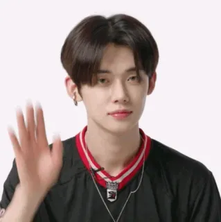 🎼 e5217dec whatsapp sticker