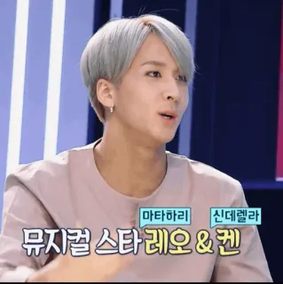 🇦🇷 36ca5d25 마타하리, 신데렐라, 뮤지컬 스타 레오 & 켄 coreano, texto, homem, pessoa whatsapp sticker