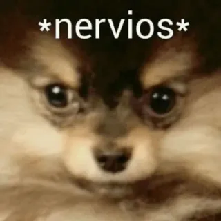 🌪 fb84aedb *nervios* dog, nervous, cute, puppy, animal telegram sticker