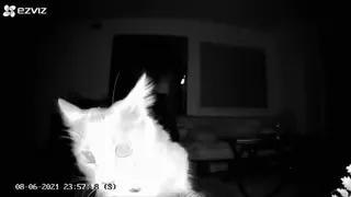 👀 3f9c82c7 telegram sticker