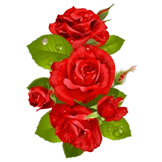 🌹 057d8758 bunga, mawar, merah, bunga, alam, buket whatsapp sticker