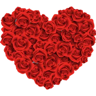 Heart ♥️ Flower whatsapp stickers