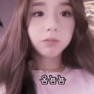 🍉 24a0865e 옴뇸뇸 vrouw, koreaans, meisje, selfie, schattig, gezicht, bruin haar telegram sticker