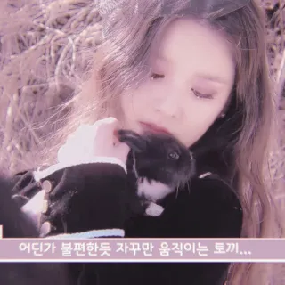 🍉 35b70e0e 어딘가 불편한듯 자꾸만 움직이는 토끼... vrouw, konijn, schattig, dier, meisje, idool, beroemdheid telegram sticker