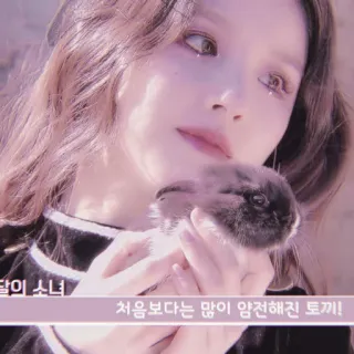 🍉 fd734007 처음보다는 많이 얌전해진 토끼! vrouw, meisje, konijn, konijntje, idool, kpop telegram sticker