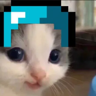 🐱 31e0cb09 kätzchen, katze, minecraft, blaue haare, haustier, tier telegram sticker