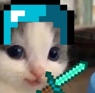 🐈 dbfe0bb3 Minecraft Minecraft, Katze, Kätzchen, Pixel Art, Gaming telegram sticker