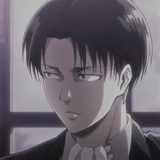 levi ackerman- @raneranevl whatsapp stickers