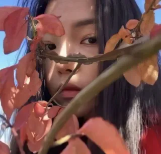 Karina Aespa @stickernct whatsapp stickers