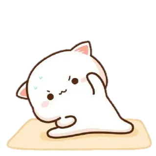 💪 6c297f95 고양이, 귀여운, 요가, 운동, 흰 고양이 telegram sticker