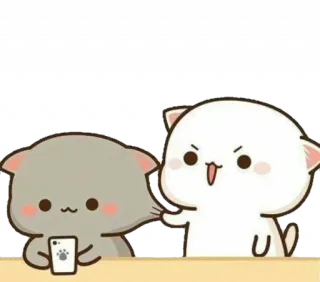😩 b1131740 고양이, 귀여운, 만화, 동물, 복숭아 고양이 telegram sticker