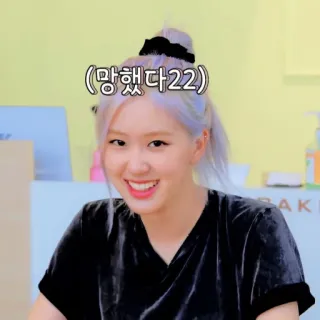 🕊 df2a95de (망했다22) 玫瑰, 韩流, BLACKPINK, 韩语, 歌手, 名人 telegram sticker