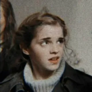 🐿 53d85ed5 Hermione Granger Harry Potter ハーマイオニー・グレンジャー, ハリー・ポッター, 魔法使い, 魔法, エマ・ワトソン telegram sticker