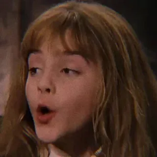 🐿 9634dbe6 Hermione Granger Harry Potter ハーマイオニー・グレンジャー, ハリー・ポッター, びっくり, 魔女, 魔法 telegram sticker