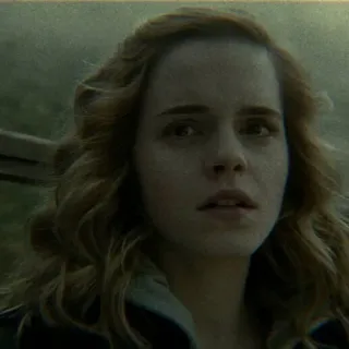 🐿 d24bac09 Hermione Granger Harry Potter ハーマイオニー・グレンジャー, ハリーポッター, 魔法使い, 魔法, グリフィンドール telegram sticker