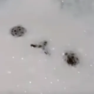 🙃 76746fa9 telegram sticker