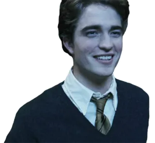 😀 6f7da9a6 Cedric Diggory Harry Potter Cedric Diggory, Harry Potter, Hogwarts, Tovenaar, Robert Pattinson telegram sticker