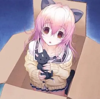 🖕 69207237 anime girl, cat ears, box, kawaii, cute, black cat, illustration whatsapp sticker