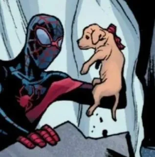 🎒 e2c47f4c Spider-Man supereroe, Marvel, fumetto, cane, cucciolo telegram sticker