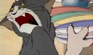 😫 07251522 Tom Cat Tom and Jerry Cartone animato, Gatto, Arrabbiato, Piatti, Stoviglie whatsapp sticker