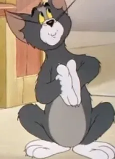 😇 87c4a800 Tom Tom and Jerry gatto, cartoni animati, animazione, divertente, carino, personaggio whatsapp sticker