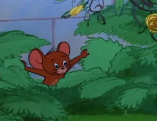 😐 d8477391 Jerry Mouse Tom and Jerry cartone animato, topo, Jerry, animale whatsapp sticker