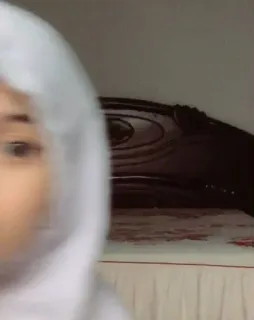 🤍 613330a0 telegram sticker