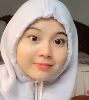 🤍 bfb195e5 telegram sticker