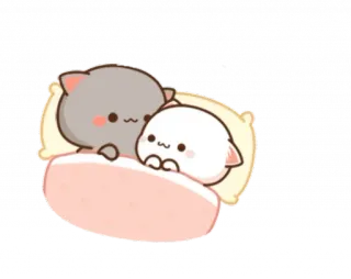 😴 c7dd6c12 kot, słodki, poduszka, łóżko, śpiący, uroczy, kreskówka telegram sticker