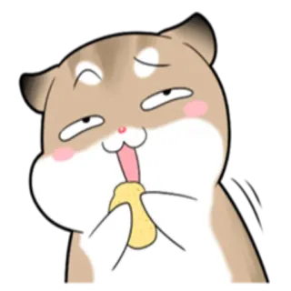 🍪 ff60a4db 猫, 动物, 吃, 可爱, 卡通, 贴纸 telegram sticker