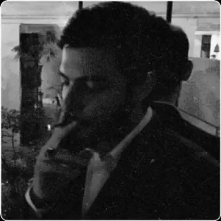 💎 84929edb telegram sticker