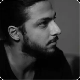 @hiddenoficial telegram stickers