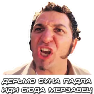 💪 15532d2d ДЕРЬМО СУКА ПАДЛА ИДИ СЮДА МЕРЗАВЕЦ 生气, 骂人, 侮辱, 俄语, 冒犯性语言 telegram sticker