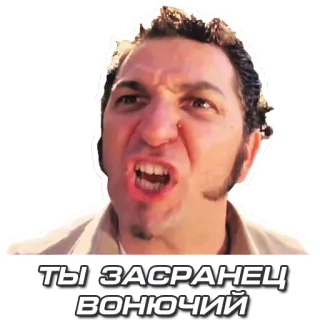 👺 2e31cf47 ТЫ ЗАСРАНЕЦ ВОНЮЧИЙ 生气, 攻击性, 俄语, 骂人, 冒犯, 侮辱 telegram sticker