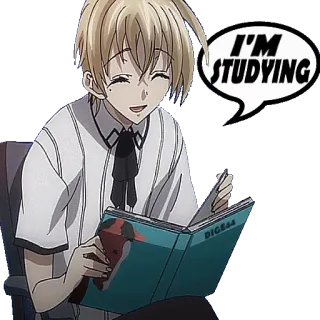 ๐ 4b8fb650 I'M STUDYING anime, studying, book, student whatsapp sticker