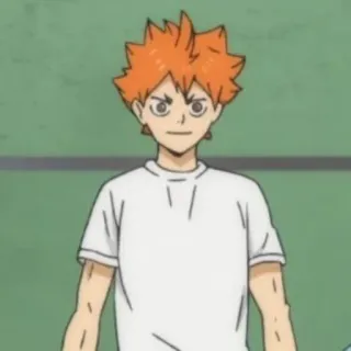 ☀️ a83e3726 Hinata Shoyo Haikyuu!! 动漫, 排球少年, 日向翔阳, 排球, 角色 telegram sticker