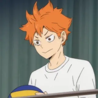 ☀️ bad5d1fe Hinata Shoyo Haikyuu!! 动漫, 排球少年, 日向翔阳, 排球, 运动, 角色 telegram sticker