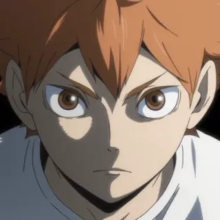 ☀️ d244c33b Hinata Shoyo Haikyuu!! 动漫, 排球少年, 日向, 翔阳, 运动, 排球 telegram sticker