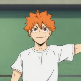 ☀️ d92d697f Hinata Shoyo Haikyuu!! 动漫, 排球, 运动, 角色, 日向, 排球少年 telegram sticker