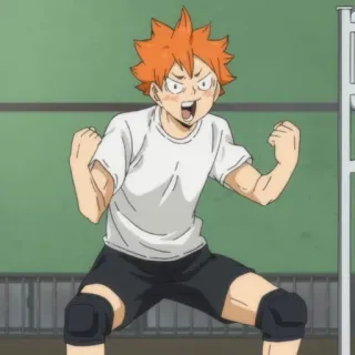 ☀️ dbde7322 Hinata Shoyo Haikyuu!! 动漫, 排球少年, 日向, 翔阳, 排球, 运动 telegram sticker