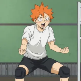 ☀️ e88f8429 Hinata Shoyo Haikyuu 动漫, 排球少年, 日向翔阳, 排球, 运动 telegram sticker