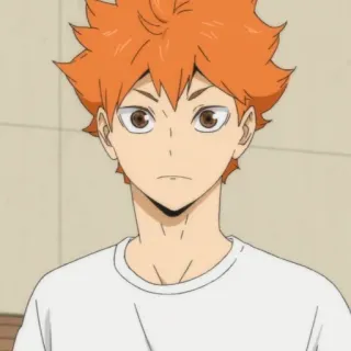 ☀️ f036b15a Hinata Shoyo Haikyuu!! 动漫, 角色, 日向, 排球少年, 翔阳, 排球, 运动 telegram sticker