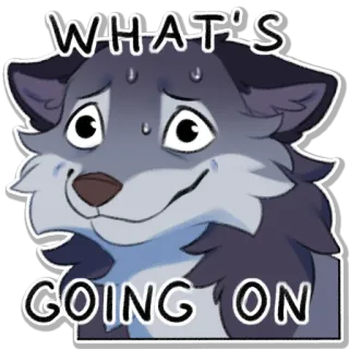 😟 2ab20736 WHAT'S GOING ON loup, question, confus, animal, poilu whatsapp sticker