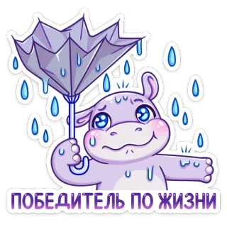 ☔️ 81922357 ПОБЕДИТЕЛЬ ПО ЖИЗНИ hippopotame, parapluie, pluie, autocollant, dessin animé telegram sticker