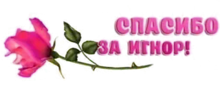 🌹 496c64e2 СПАСИБО ЗА ИГНОР! rose, merci, ignorer, fleur, russe telegram sticker