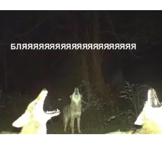 Больше стиков тут: @stikery4 telegram stickers