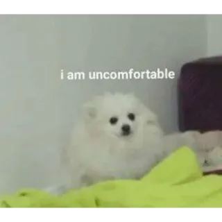 😥 82fb918e i am uncomfortable chien, mal à l'aise, mème, animal de compagnie, duveteux telegram sticker