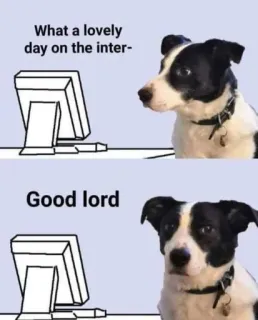 😳 aa8b266d What a lovely day on the inter-
Good lord chien, internet, mème, humour telegram sticker