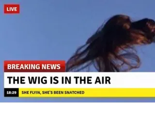 👩‍🦲 d6d37343 THE WIG IS IN THE AIR SHE FLYIN, SHE'S BEEN SNATCHED perruque, cheveux, drôle, humour, actualités, mème telegram sticker