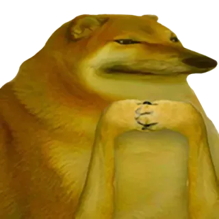 🐶 38972525 Doge doge, Meme, Hund, Tier, Shiba Inu whatsapp sticker